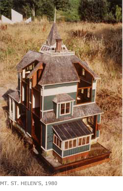 shingles